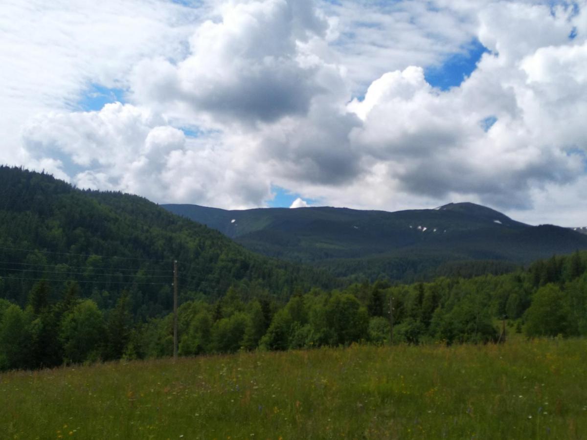 Карпатський Готель Олександрія Mykulychyn Exterior foto